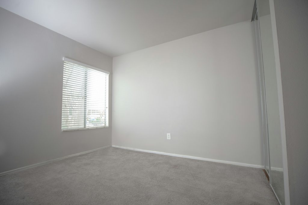 General carpet clean of home, clean , carpet clean.