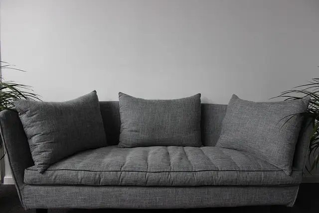 Upholstery clean, sofa clean